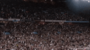 Premier League Singing GIF by Aston Villa FC