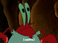season 3 GIF by SpongeBob SquarePants