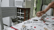madmoizelledotcom  GIF
