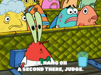 season 5 the krusty sponge GIF by SpongeBob SquarePants