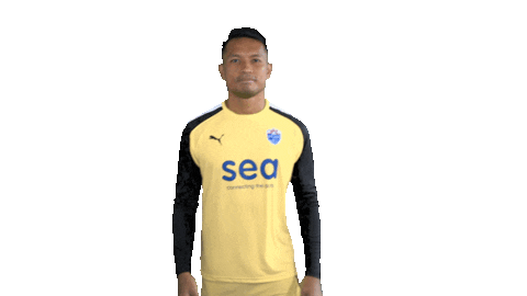 Happy Superman Sticker by Lion City Sailors