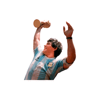 World Cup Football Sticker by Clarín