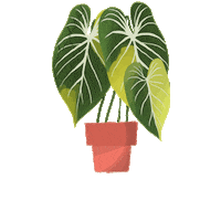 martian_plantdad philodendron martianplantdad martiansplant gloriosum Sticker