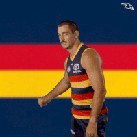 Afl Yes GIF by Adelaide Crows