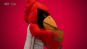 illinois state redbirds GIF by Missouri Valley Conference