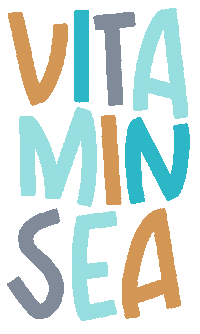 Schleswig-Holstein Ocean Sticker by Küstenwerber