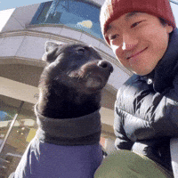 eungji zzangjinhwan GIF