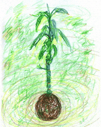 Art Fun GIF by Arielgif