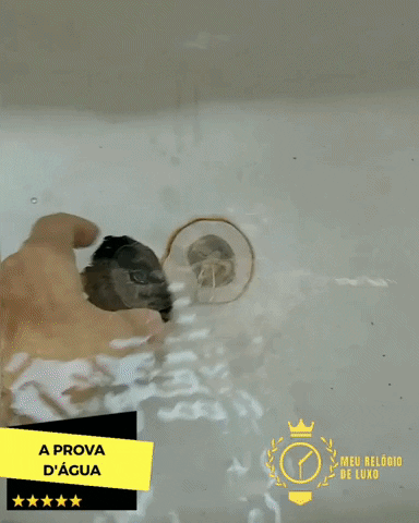 MeuRelogiodeLuxo giphygifmaker GIF