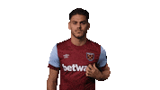 Premier League Dinos Sticker by West Ham United