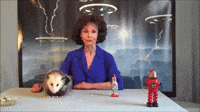Best of Opossum Lady