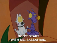 rockos modern life nicksplat GIF