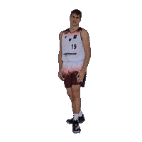 Basketball Winasone Sticker by Iserlohn Kangaroos