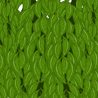 Penguin What GIF by Pudgy Penguins