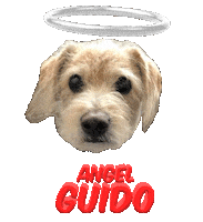 Dog Angel Sticker