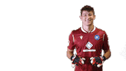 2 Bundesliga Football Sticker by Karlsruher SC