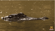 summer school GIF