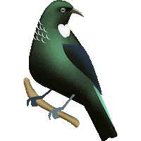 kiwi nz Sticker by Emotiki - The World's First Māori emoji app
