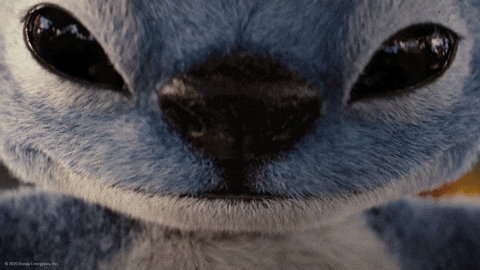 Lilo And Stitch Smirk GIF by Walt Disney Studios