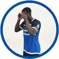 2 Bundesliga Happy Dance Sticker by SV Darmstadt 1898 e.V.