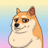 Shiba Inu Wow GIF by Doge Pound