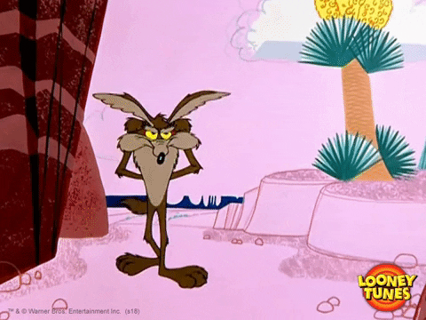 wile e coyote waiting GIF by Looney Tunes
