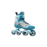 Roller Girl Patin Sticker