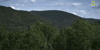 Episode 1 GIF by National Geographic Channel