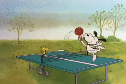 charlie brown thanksgiving GIF by Peanuts