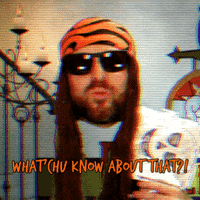 Confused Twitch Streamer GIF by Four Rest Films