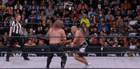 Chris Jericho Wrestling GIF by AEWonTV