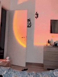 Happy No Way GIF