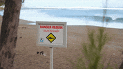 Discovery GIF by Shark Week