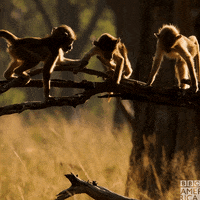 Fall Hanging Out GIF by BBC America