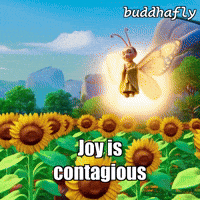 Flower Sun GIF by BuddhaFlyJourney