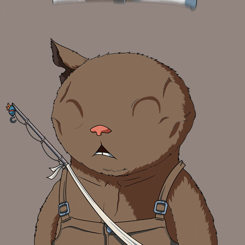 Cat GIF by Kitaro World