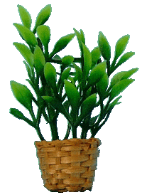 3D Gif Artist Sticker by Sarah Zucker