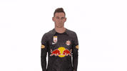 Adam Drum Roll GIF by FC Red Bull Salzburg