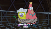 episode 1 whirly brains GIF by SpongeBob SquarePants