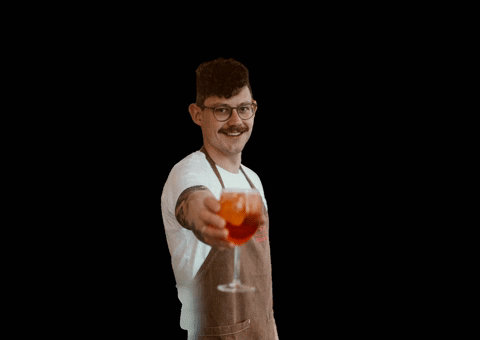 dieteigmacher giphygifmaker cheers drinking cocktails GIF