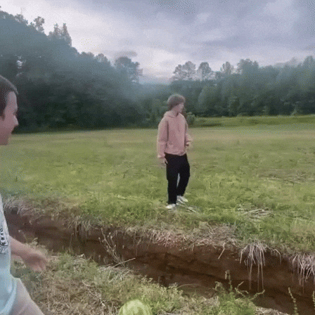 Watermelon Agriculture GIF