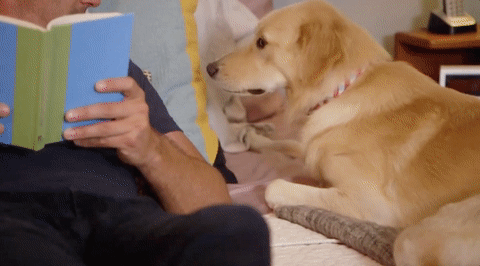 trutv GIF by truTV’s Hack My Life