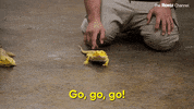 Season 1 Omg GIF by The Roku Channel