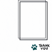 DrStacyVet cat dog pet sick GIF