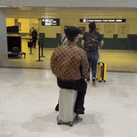 Airport Suitcase GIF
