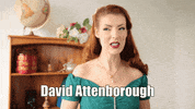jessicaoutofthecloset jessica kellgren fozard jessica out of the closet jessicaoutofthecloset GIF