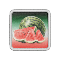 cinemaqueer queer camp watermelon scout Sticker