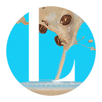 LibraryAgency brand library brands libraryagency GIF
