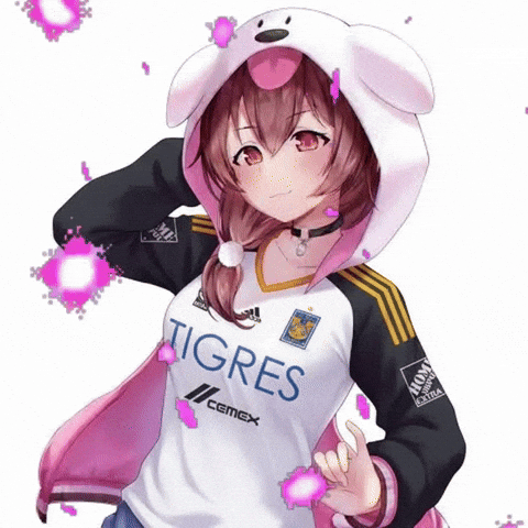 Tigres Uanl Girl GIF