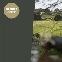 GIF by Quest Apartment Hotels